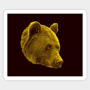 Brown bear Sticker